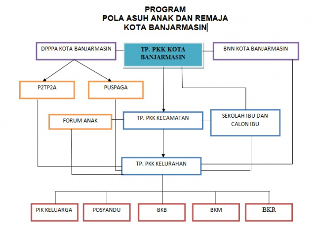 Program Pola Asuh Anak